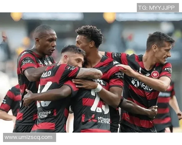 悉尼与威灵顿的精彩对决揭示足球战术与球队风格的较量